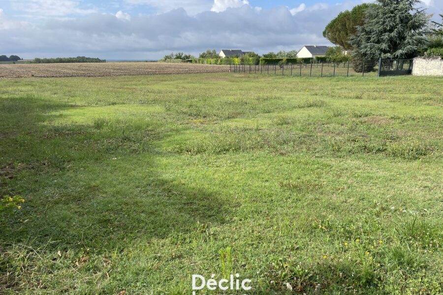 Terrain à vendre à Lémeré — Vue nature — photo 1