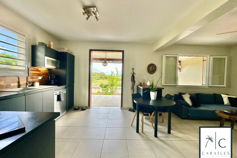 Maison à vendre à Ducos — Vue montagne — photo 17