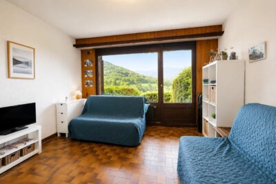Appartement à vendre à Thollon-les-Mémises