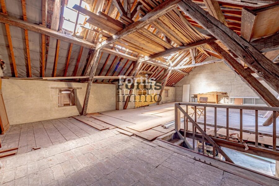 Maison à vendre à Villeneuve-sur-Yonne — Vue parc & jardin — photo 27