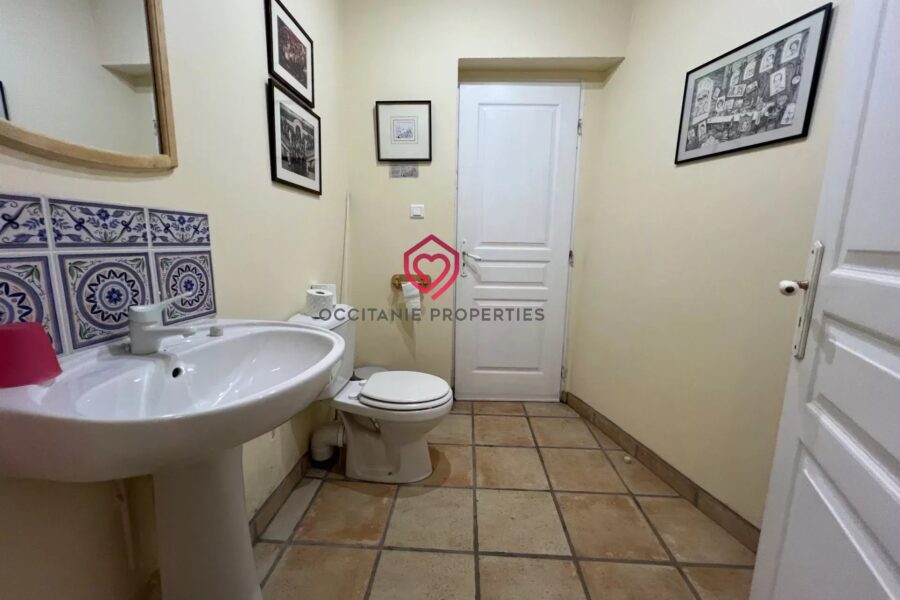 Maison à vendre à Aspet — Vue nature — photo 32