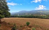Maison à vendre à Saint-Amans-Valtoret — Vue montagne — photo 18
