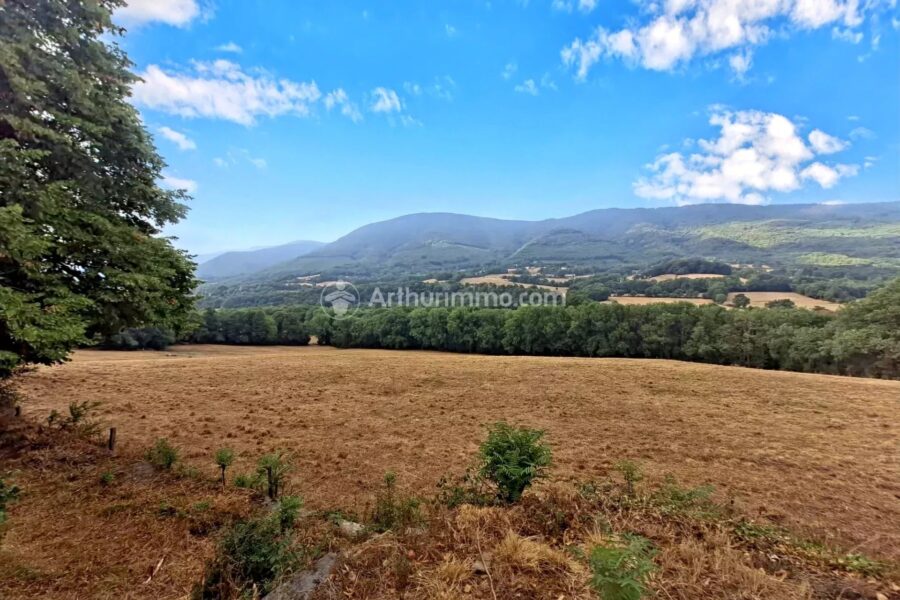 Maison à vendre à Saint-Amans-Valtoret — Vue montagne — photo 18