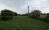 Maison à vendre à Rue — Vue lac — photo 10