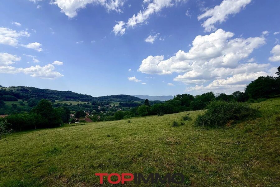 Maison à vendre à Gérardmer — Vue nature — photo 12