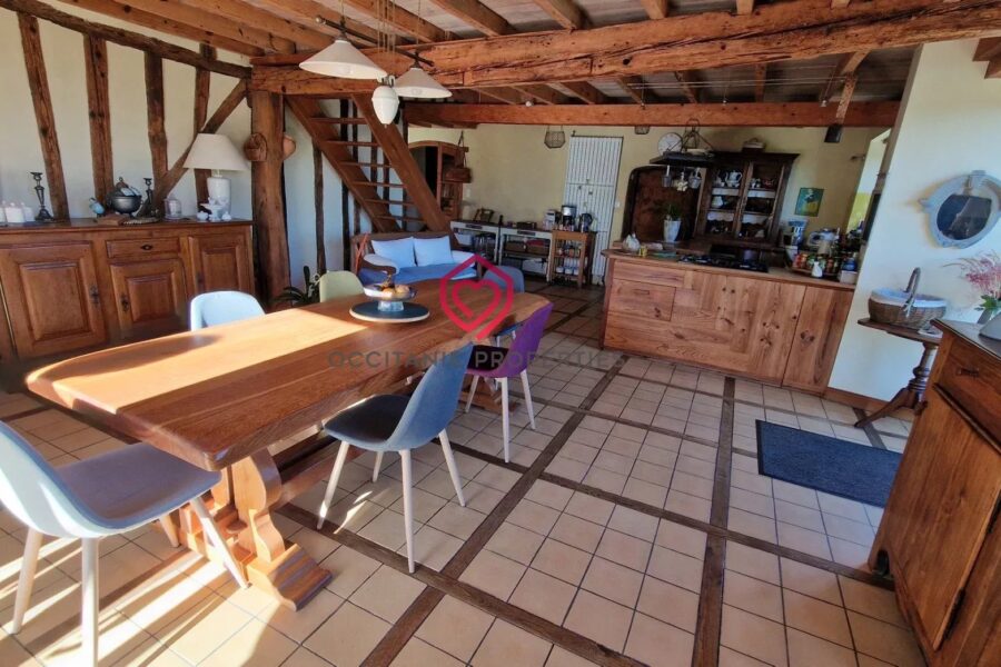 Maison à vendre à Esplas-de-Sérou — Vue montagne — photo 5
