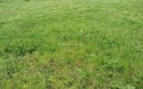 Terrain à vendre à Laboutarie — photo 2