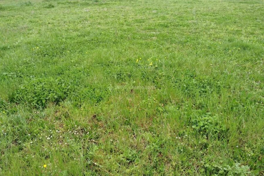 Terrain à vendre à Laboutarie — photo 2