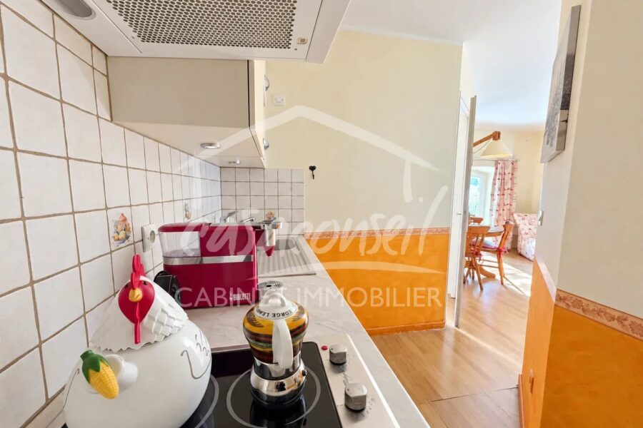 Appartement à vendre à Chamonix-Mont-Blanc — Vue montagne — photo 6