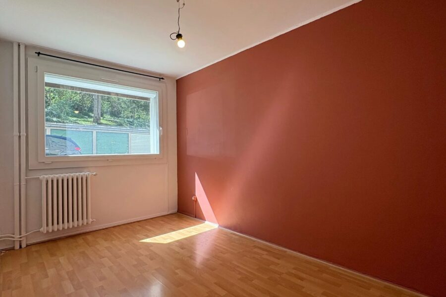 Appartement à louer à Saint-Étienne — Vue nature — photo 11