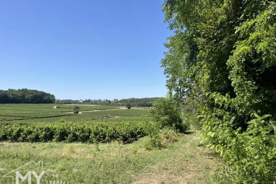 Maison à vendre à Puisseguin — Vue parc & jardin — photo 16