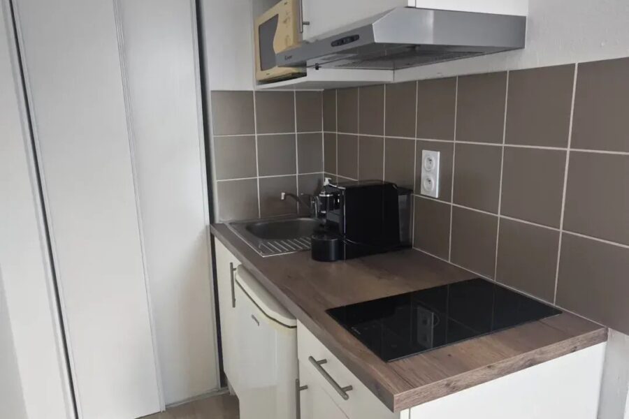 Appartement à vendre à Grenoble — Vue montagne — photo 9