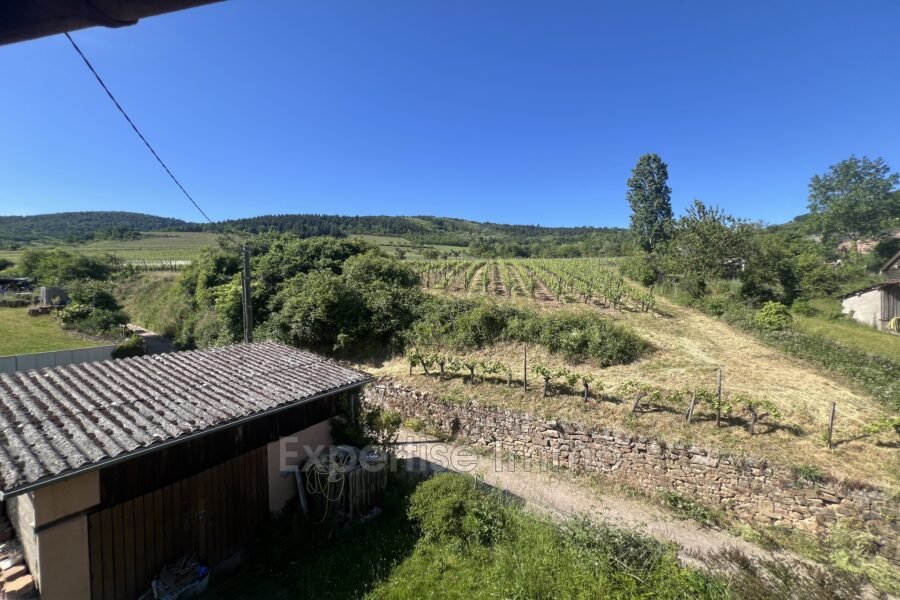 Maison à vendre à Turckheim — Vue montagne — photo 15