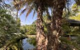 Terrain à vendre à Biot — Vue montagne — photo 25