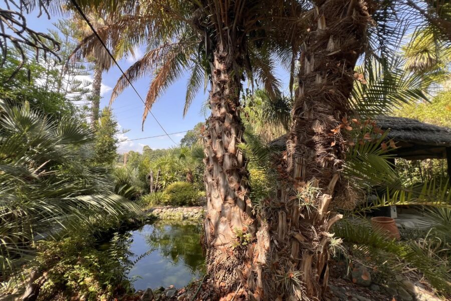 Terrain à vendre à Biot — Vue montagne — photo 25