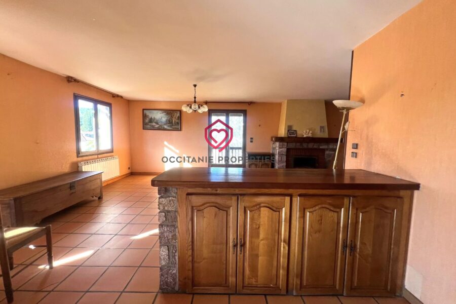Maison à vendre à Saint-Girons — Vue montagne — photo 8