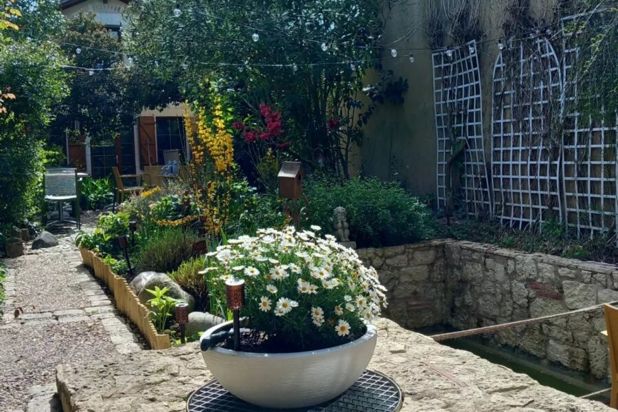 Maison à vendre à Bergerac — Vue parc & jardin — photo 6