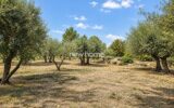 Maison à vendre à Saint-Antonin-du-Var — Vue montagne — photo 41