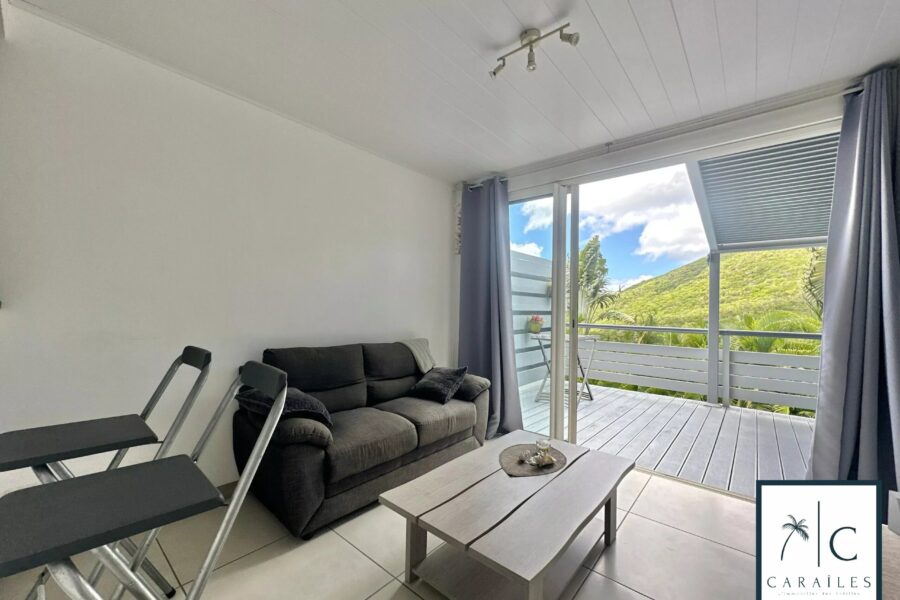 Maison à vendre à Sainte-Luce — Vue mer — photo 28