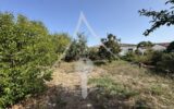 Maison à vendre à Saint-Hilaire — Vue parc & jardin — photo 17