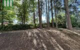 Appartement à vendre à Saint-Étienne — Vue nature — photo 5