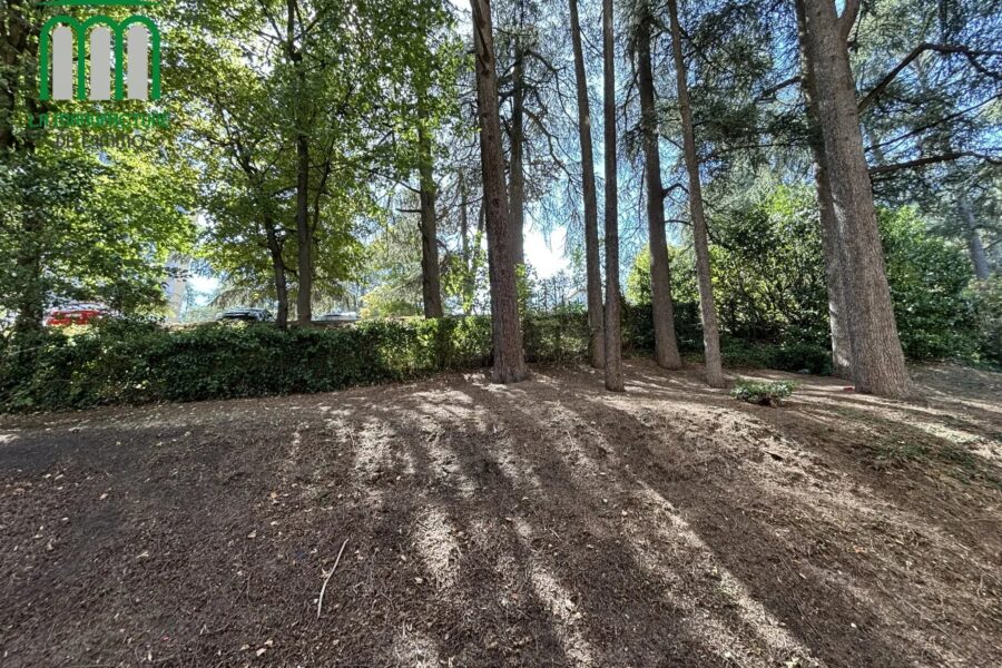 Appartement à vendre à Saint-Étienne — Vue nature — photo 5