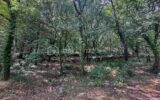 Terrain à vendre à Fayence — Vue dégagée — photo 4