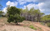 Terrain à vendre à Taradeau — Vue nature — photo 4