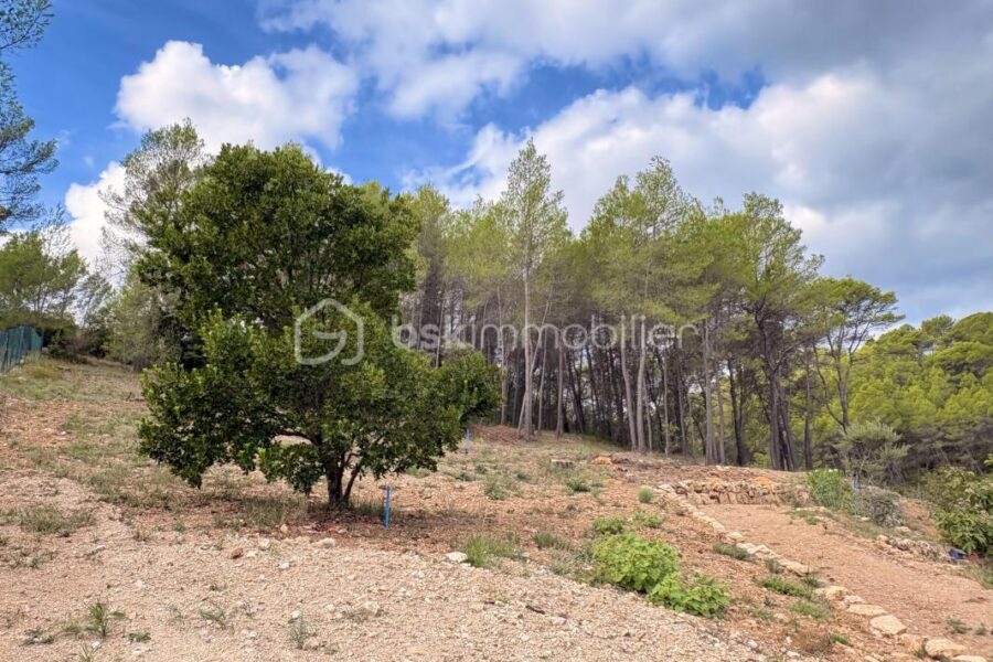 Terrain à vendre à Taradeau — Vue nature — photo 4