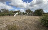 Terrain à vendre à Crach — Vue dégagée — photo 4