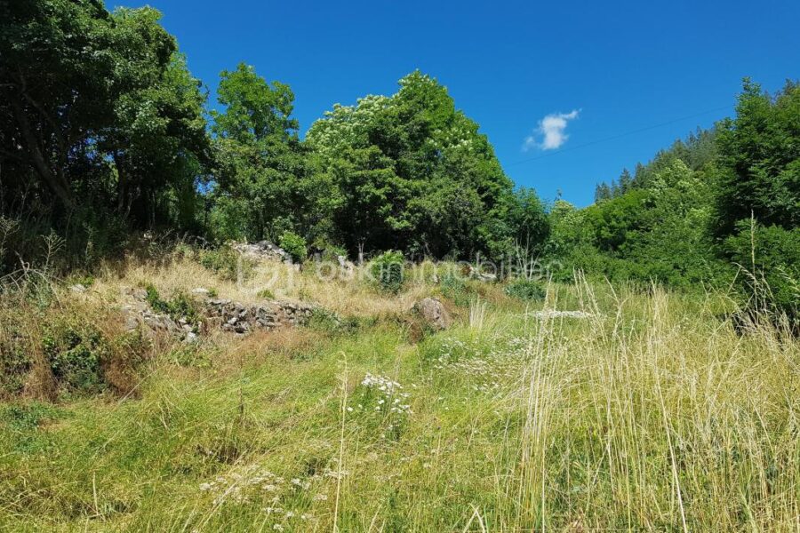 Terrain à vendre à Colmars — Vue montagne — photo 5