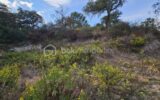 Terrain à vendre à Vidauban — Vue nature — photo 4