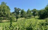 Terrain à vendre à Apach — Vue nature — photo 4