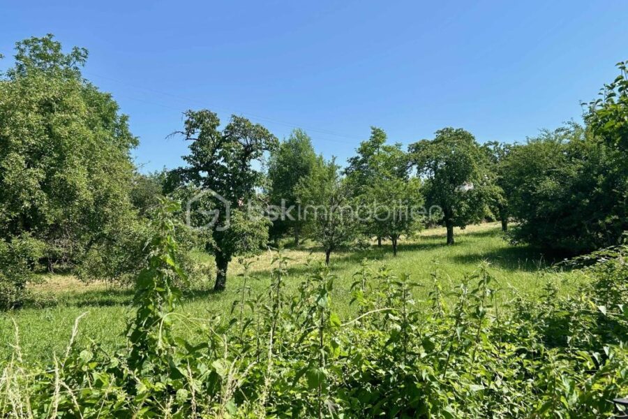 Terrain à vendre à Apach — Vue nature — photo 4