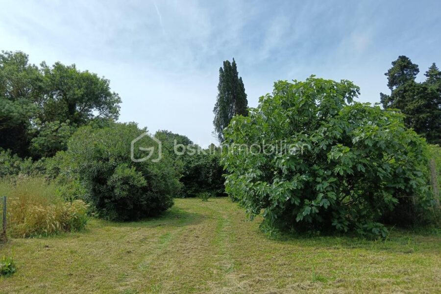 Terrain à vendre à Canet-en-Roussillon — photo 4