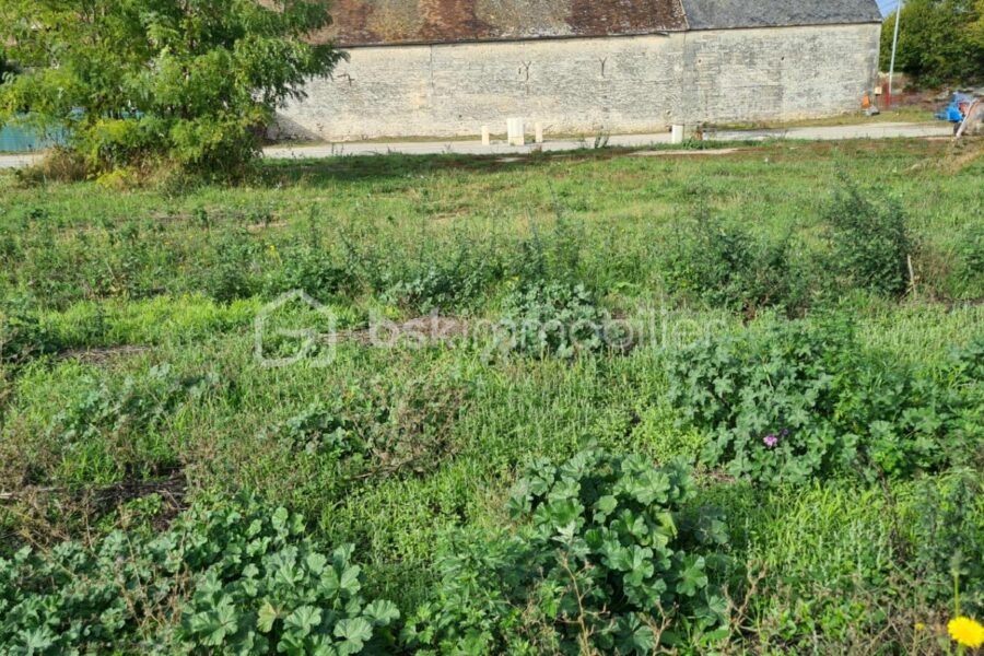 Terrain à vendre à Valpuiseaux — Vue dégagée — photo 1