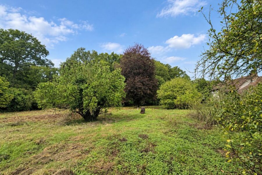 Terrain à vendre à Bois-le-Roi — Vue nature — photo 5