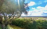 Maison à vendre à Thézan-lès-Béziers — Vue nature — photo 1