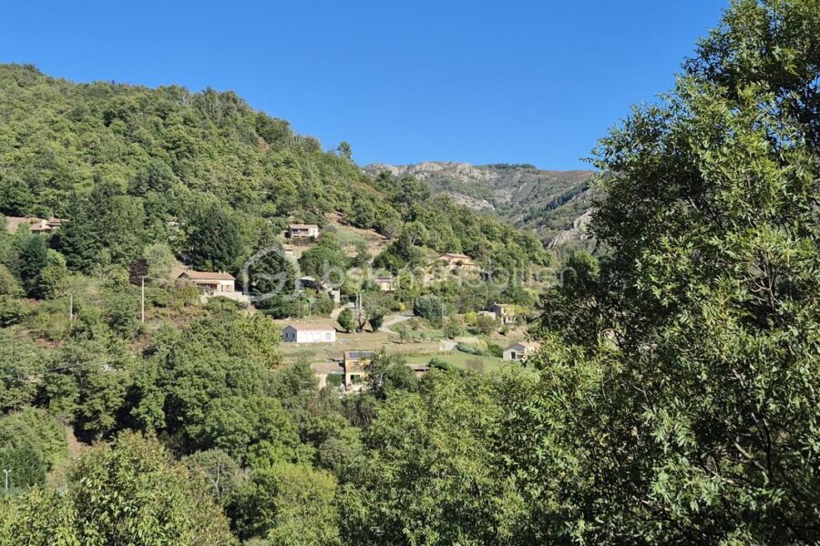 Maison à vendre à Antraigues-sur-Volane — Vue nature — photo 4