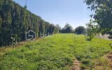 Terrain à vendre à Pagny-le-Château — Vue dégagée — photo 2