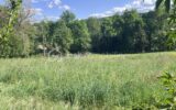 Terrain à vendre à La Bachellerie — Vue nature — photo 4