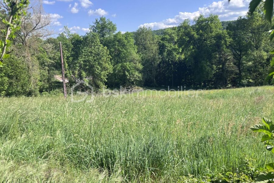 Terrain à vendre à La Bachellerie — Vue nature — photo 4