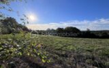 Terrain à vendre à Châtres — Vue nature — photo 1