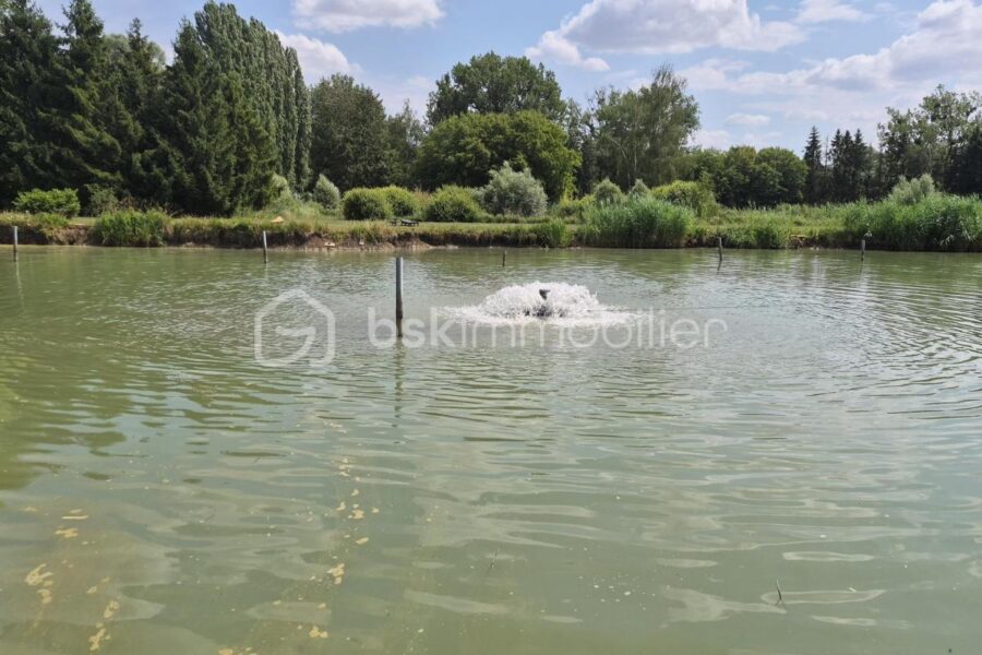 Terrain à vendre à Rémilly — Vue lac — photo 4