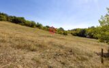 Maison à vendre à Laurac — Vue nature — photo 13