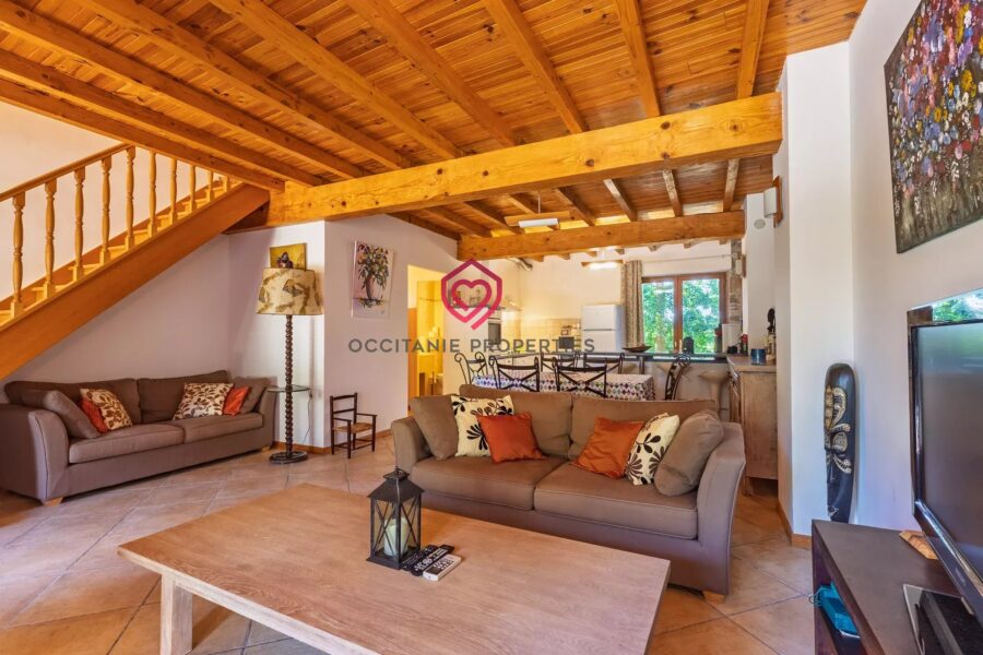 Maison à vendre à Belvèze-du-Razès — Vue parc & jardin — photo 17