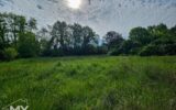 Maison à vendre à Montcaret — Vue nature — photo 19