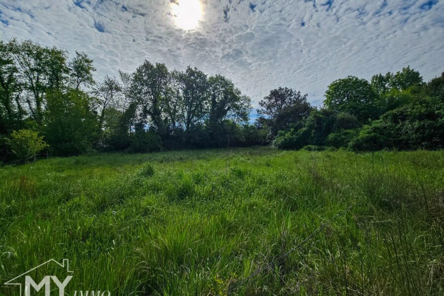 Maison à vendre à Montcaret — Vue nature — photo 19
