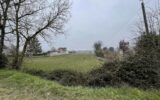 Terrain à vendre à Carmaux — Vue nature — photo 7