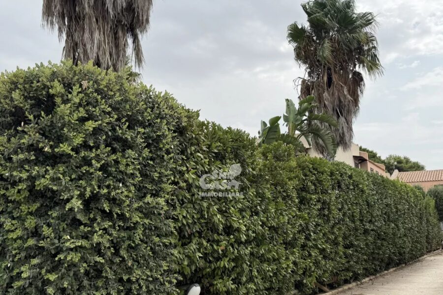 Maison à vendre à Marsala — Vue nature — photo 45
